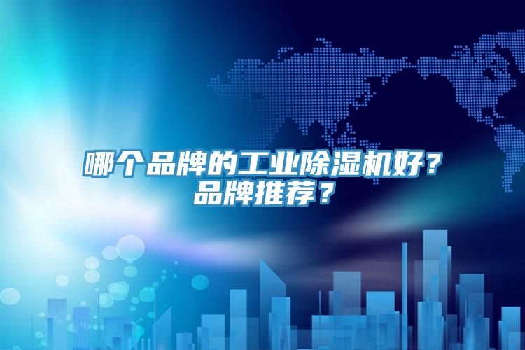 哪個品牌的工業(yè)除濕機好？品牌推薦？