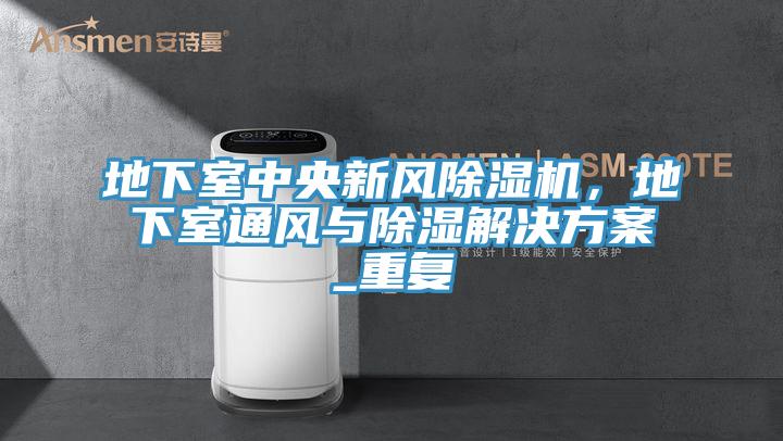 地下室中央新風(fēng)除濕機(jī)，地下室通風(fēng)與除濕解決方案_重復(fù)