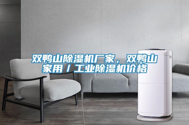 雙鴨山除濕機廠家，雙鴨山家用／工業(yè)除濕機價格