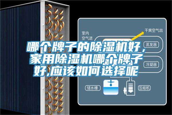 哪個牌子的除濕機好，家用除濕機哪個牌子好,應(yīng)該如何選擇呢