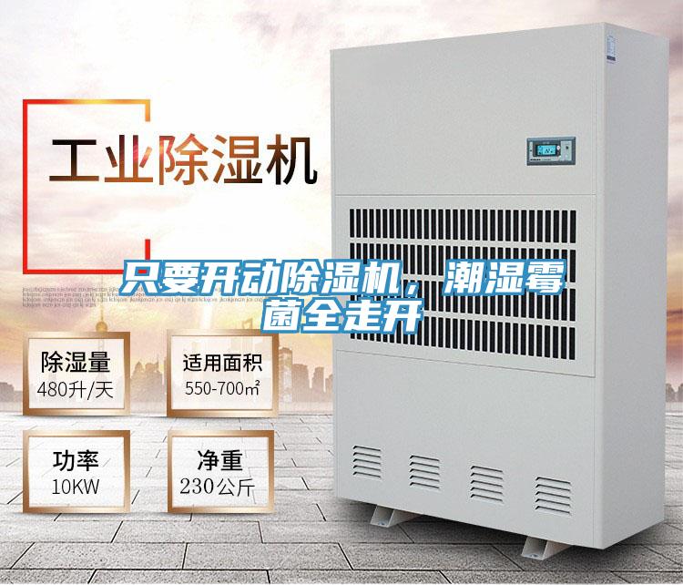 只要開動除濕機(jī)，潮濕霉菌全走開