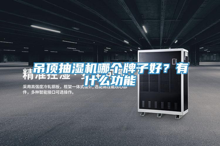 吊頂抽濕機哪個牌子好？有什么功能