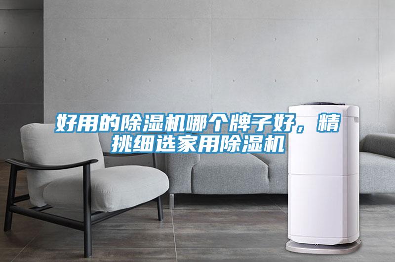 好用的除濕機哪個牌子好，精挑細(xì)選家用除濕機