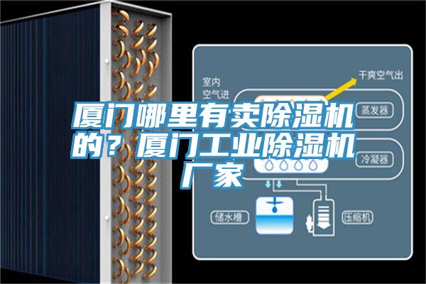 廈門(mén)哪里有賣(mài)除濕機(jī)的？廈門(mén)工業(yè)除濕機(jī)廠家