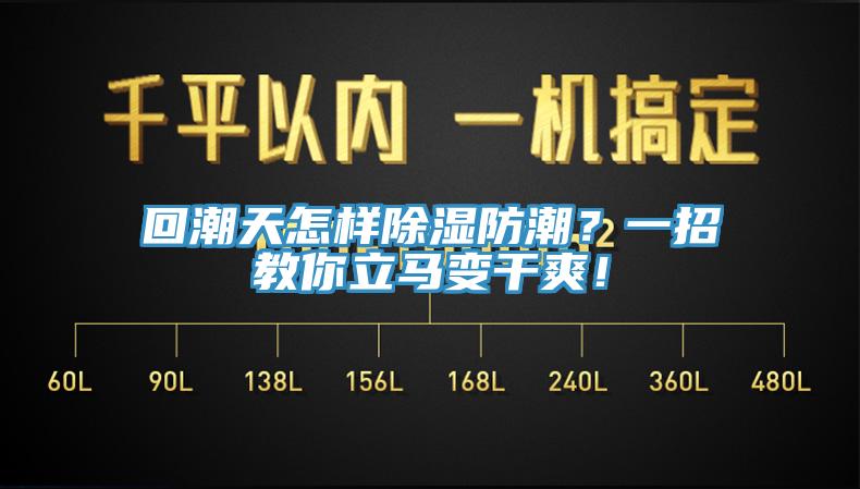 回潮天怎樣除濕防潮？一招教你立馬變干爽！