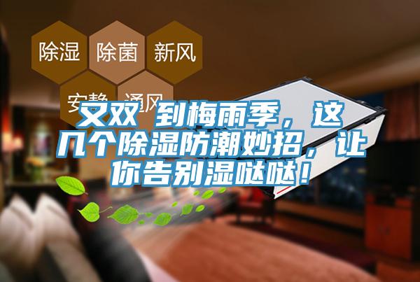 又雙叒到梅雨季，這幾個(gè)除濕防潮妙招，讓你告別濕噠噠！