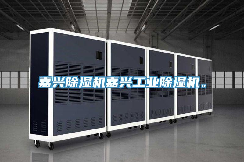 嘉興除濕機(jī)嘉興工業(yè)除濕機(jī)。