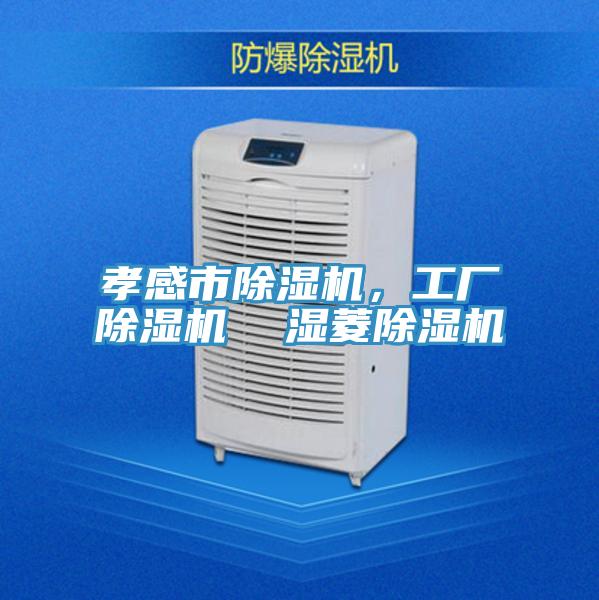 孝感市除濕機(jī)，工廠除濕機(jī)  濕菱除濕機(jī)