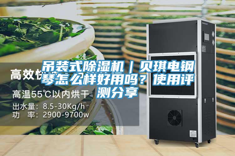 吊裝式除濕機(jī)｜貝琪電鋼琴怎么樣好用嗎？使用評測分享