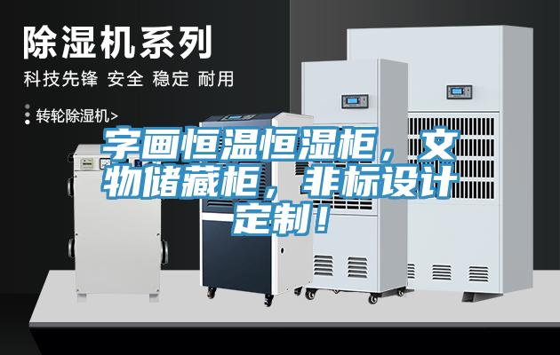 字畫(huà)恒溫恒濕柜，文物儲(chǔ)藏柜，非標(biāo)設(shè)計(jì)定制！