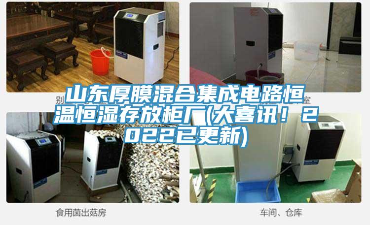 山東厚膜混合集成電路恒溫恒濕存放柜廠(大喜訊！2022已更新)
