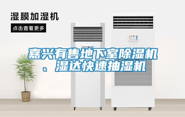 嘉興有售地下室除濕機(jī)、濕達(dá)快速抽濕機(jī)