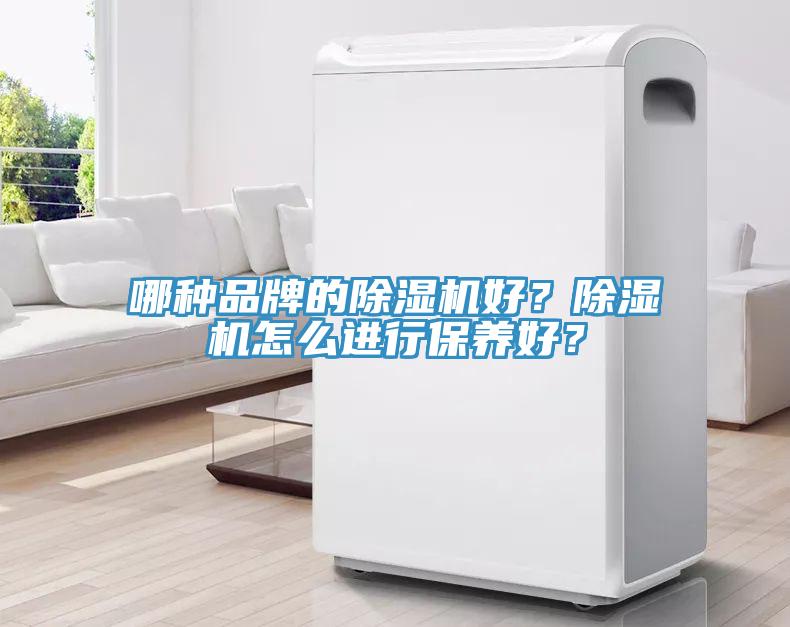哪種品牌的除濕機(jī)好？除濕機(jī)怎么進(jìn)行保養(yǎng)好？