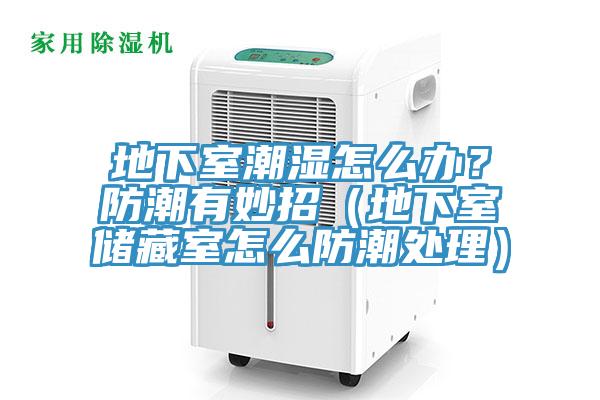 地下室潮濕怎么辦？防潮有妙招（地下室儲藏室怎么防潮處理）