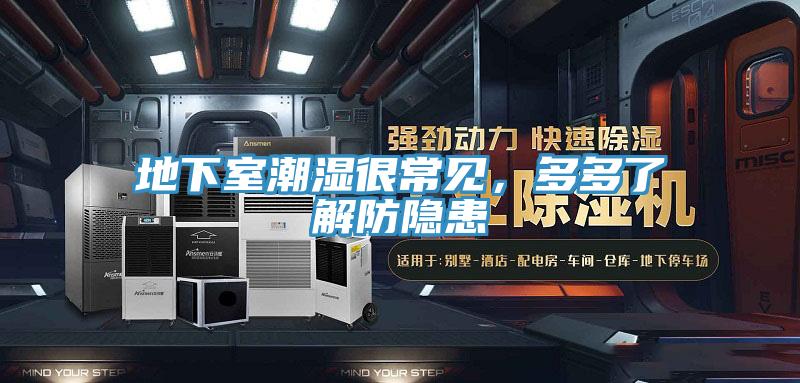 地下室潮濕很常見，多多了解防隱患