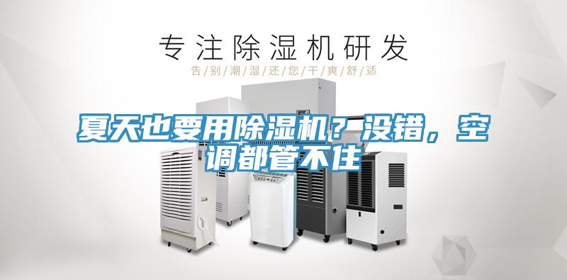 夏天也要用除濕機(jī)？沒錯(cuò)，空調(diào)都管不住