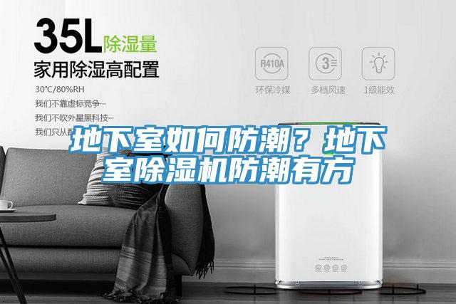 地下室如何防潮？地下室除濕機(jī)防潮有方