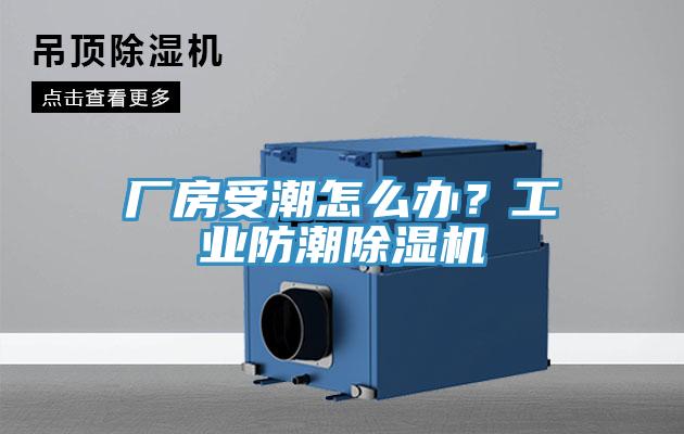 廠房受潮怎么辦？工業(yè)防潮除濕機