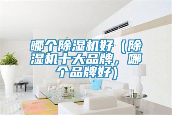哪個除濕機(jī)好（除濕機(jī)十大品牌，哪個品牌好）