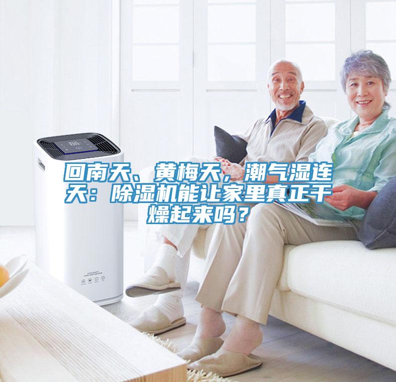 回南天、黃梅天，潮氣濕連天：除濕機(jī)能讓家里真正干燥起來嗎？