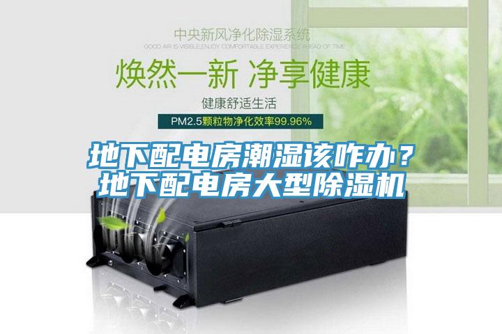 地下配電房潮濕該咋辦？地下配電房大型除濕機(jī)
