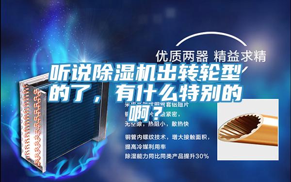 聽說除濕機出轉(zhuǎn)輪型的了，有什么特別的啊？