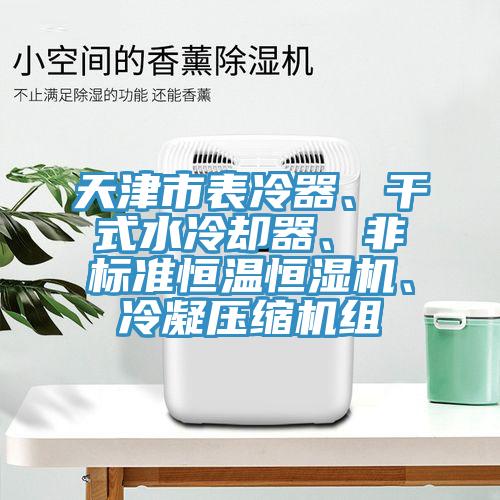 天津市表冷器、干式水冷卻器、非標(biāo)準(zhǔn)恒溫恒濕機(jī)、冷凝壓縮機(jī)組