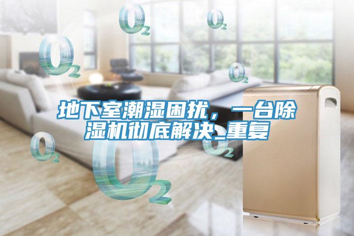 地下室潮濕困擾，一臺(tái)除濕機(jī)徹底解決_重復(fù)