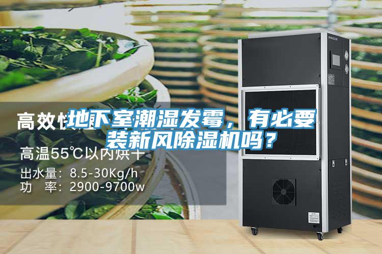 地下室潮濕發(fā)霉，有必要裝新風(fēng)除濕機(jī)嗎？