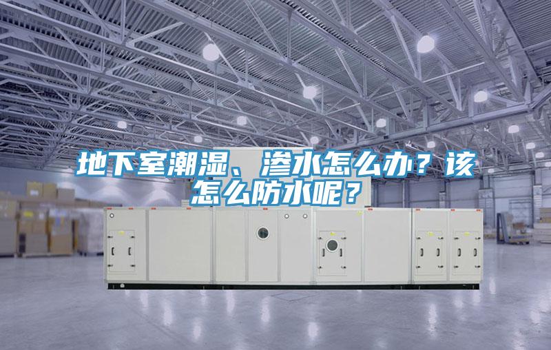 地下室潮濕、滲水怎么辦？該怎么防水呢？