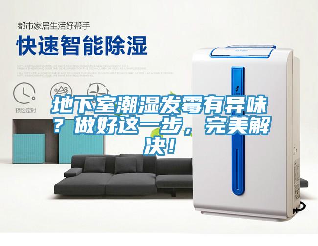 地下室潮濕發(fā)霉有異味？做好這一步，完美解決！