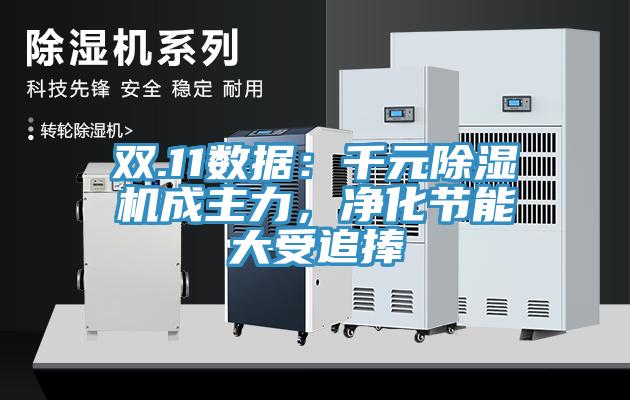 雙.11數(shù)據(jù)：千元除濕機(jī)成主力，凈化節(jié)能大受追捧