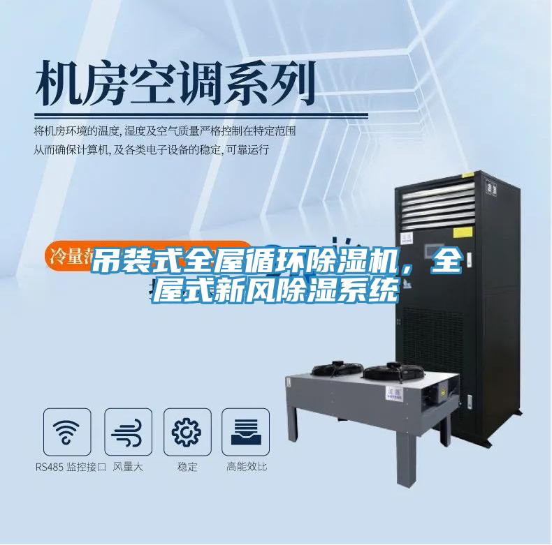 吊裝式全屋循環(huán)除濕機，全屋式新風除濕系統(tǒng)