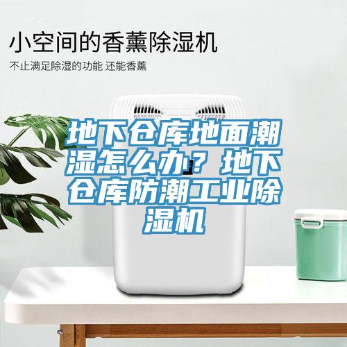 地下倉庫地面潮濕怎么辦？地下倉庫防潮工業(yè)除濕機(jī)