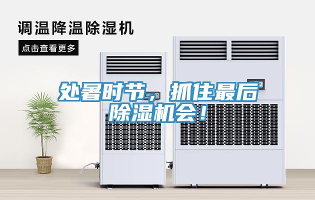處暑時(shí)節(jié)，抓住最后除濕機(jī)會(huì)！