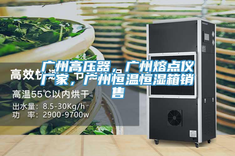 廣州高壓器，廣州熔點儀廠家，廣州恒溫恒濕箱銷售