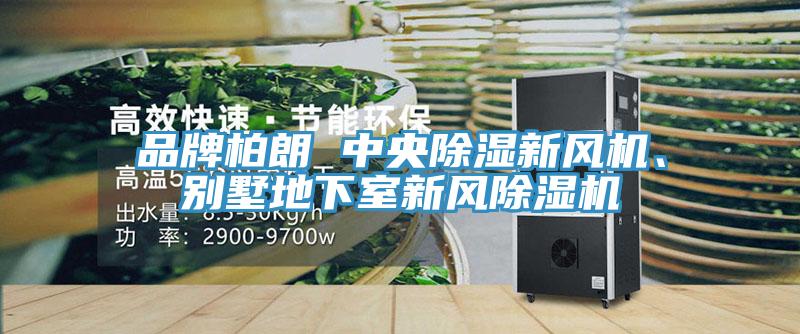 品牌柏朗 中央除濕新風(fēng)機、別墅地下室新風(fēng)除濕機