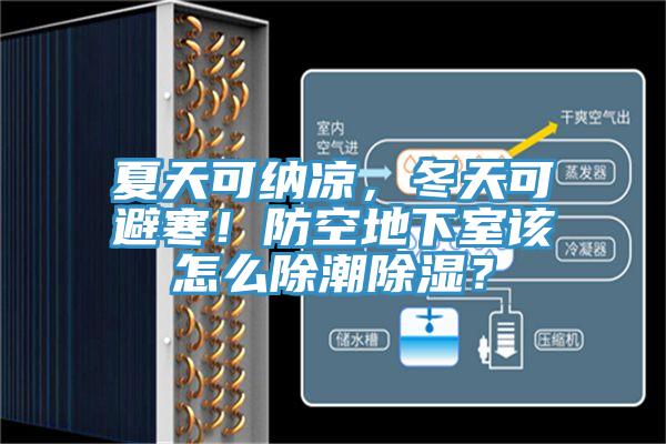 夏天可納涼，冬天可避寒！防空地下室該怎么除潮除濕？
