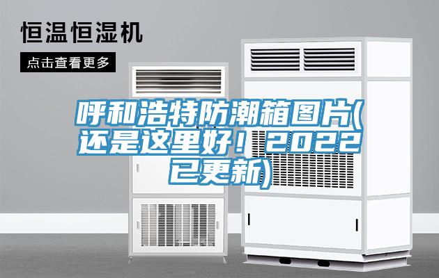 呼和浩特防潮箱圖片(還是這里好！2022已更新)