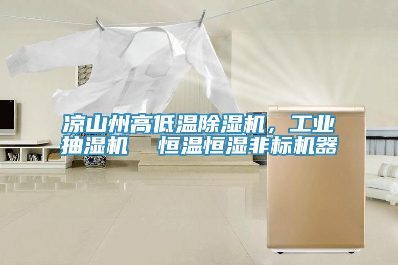 涼山州高低溫除濕機(jī)，工業(yè)抽濕機(jī)  恒溫恒濕非標(biāo)機(jī)器