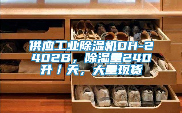 供應(yīng)工業(yè)除濕機(jī)DH-2402B，除濕量240升／天，大量現(xiàn)貨