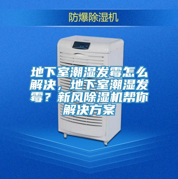 地下室潮濕發(fā)霉怎么解決，地下室潮濕發(fā)霉？新風(fēng)除濕機(jī)幫你解決方案