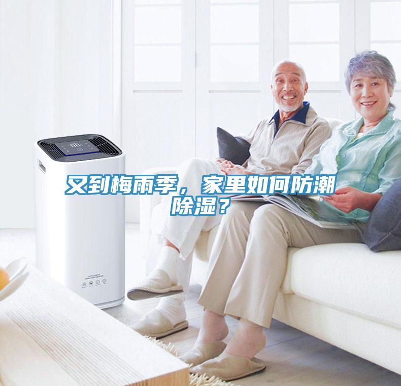 又到梅雨季，家里如何防潮除濕？