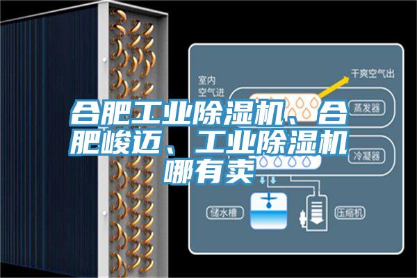 合肥工業(yè)除濕機、合肥峻邁、工業(yè)除濕機哪有賣