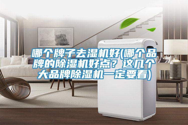 哪個(gè)牌子去濕機(jī)好(哪個(gè)品牌的除濕機(jī)好點(diǎn)？這幾個(gè)大品牌除濕機(jī)一定要看)