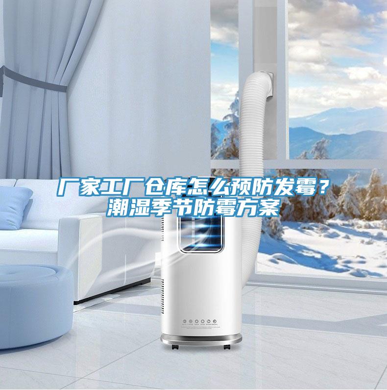 廠家工廠倉庫怎么預(yù)防發(fā)霉？潮濕季節(jié)防霉方案