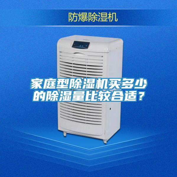 家庭型除濕機買多少的除濕量比較合適？
