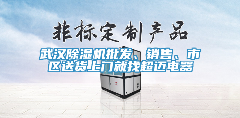 武漢除濕機批發(fā)、銷售、市區(qū)送貨上門就找超邁電器