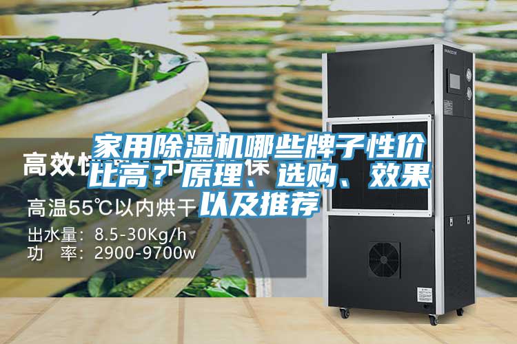 家用除濕機哪些牌子性價比高？原理、選購、效果以及推薦