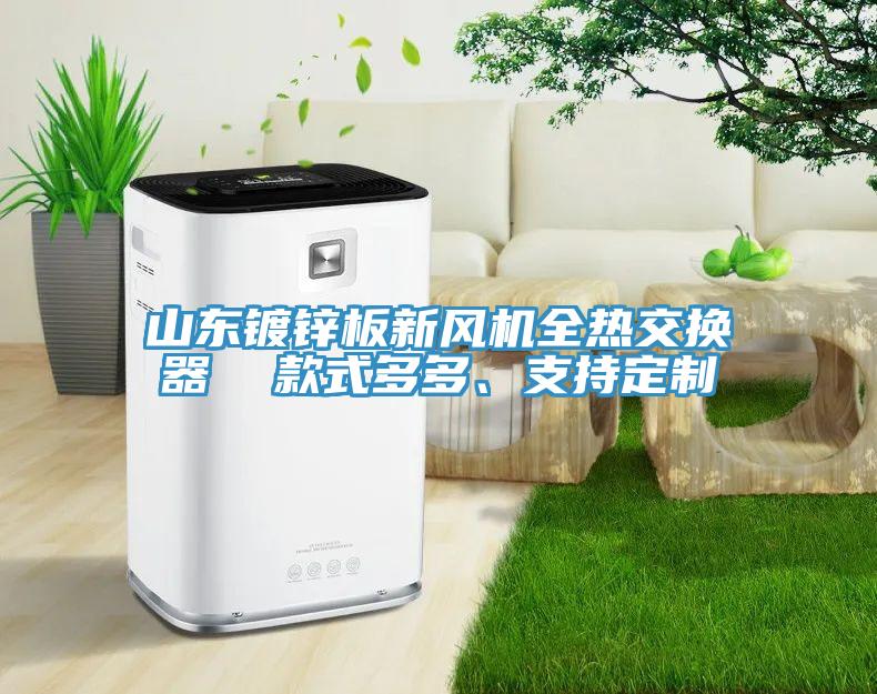 山東鍍鋅板新風(fēng)機全熱交換器  款式多多、支持定制